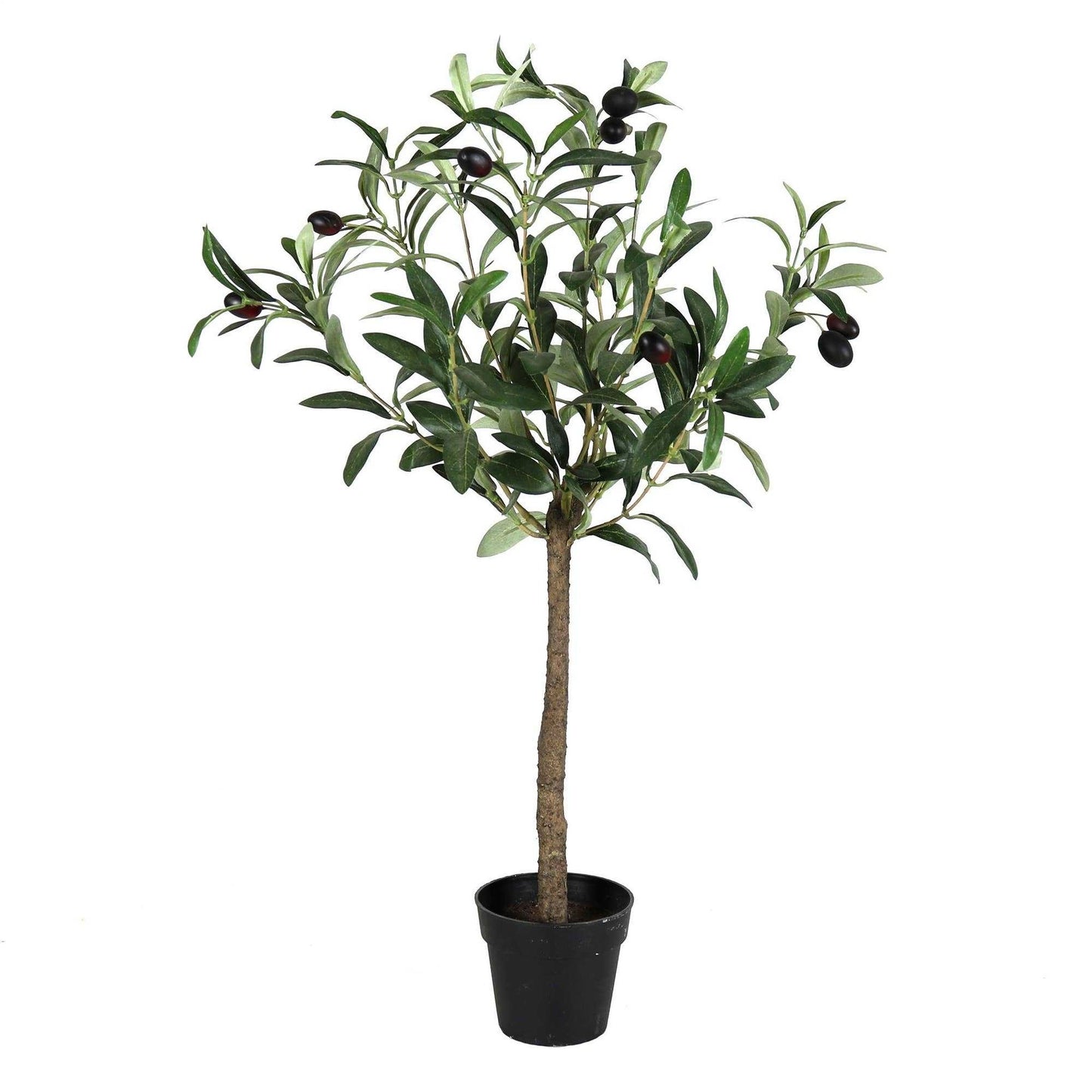 
                  
                    Potted Olive Tree( Faux) - Curated Home Decor
                  
                