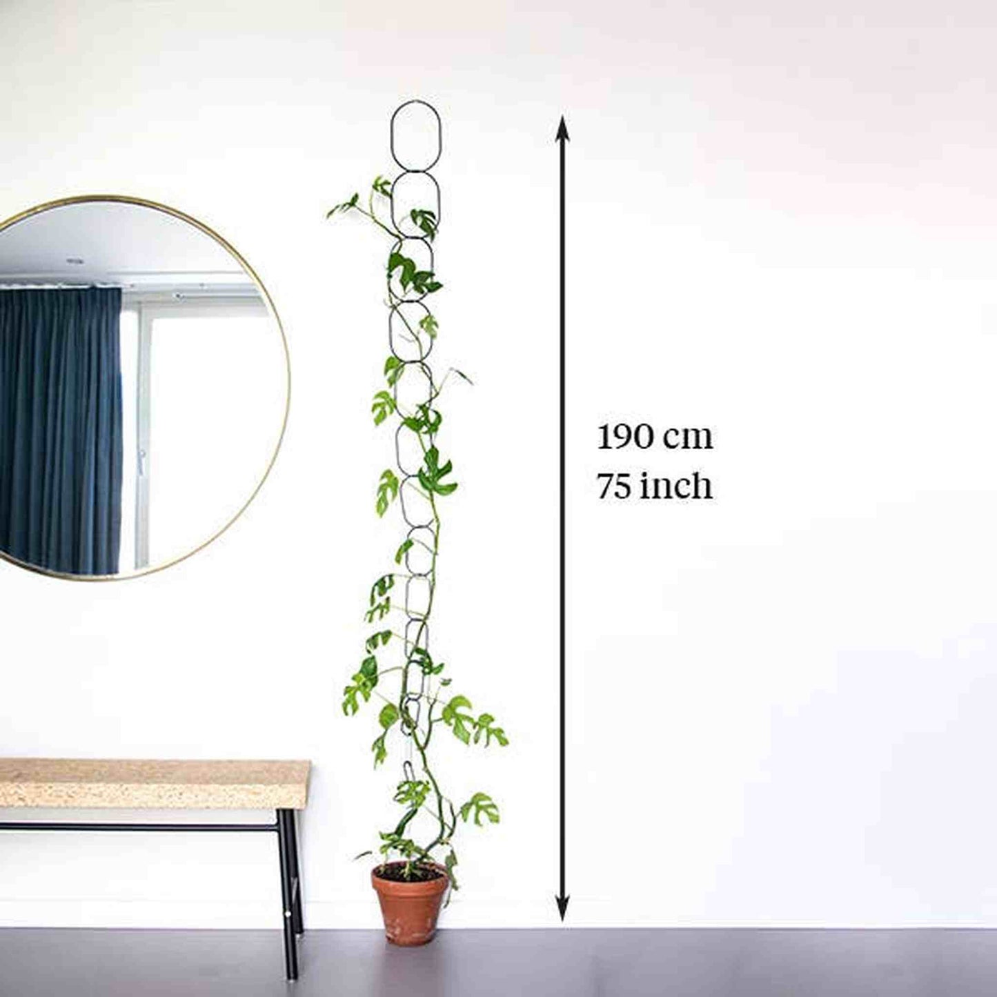 
                  
                    Black Brass Chain - Plant Support for climbing plants - Curated Home Decor
                  
                