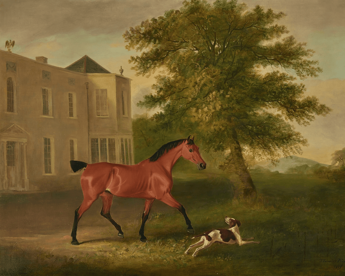 
                  
                    A Chestnut Horse and a Hound Antique Art Print - Curated Home Decor
                  
                