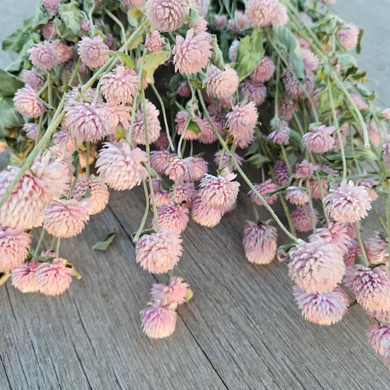 Dried Floral Wreath: Totally Gomphrena