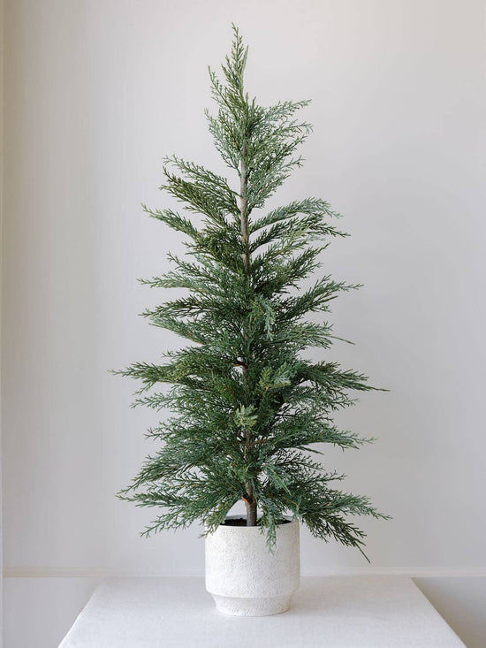 Cedar Tree with Cream Pot: 24"