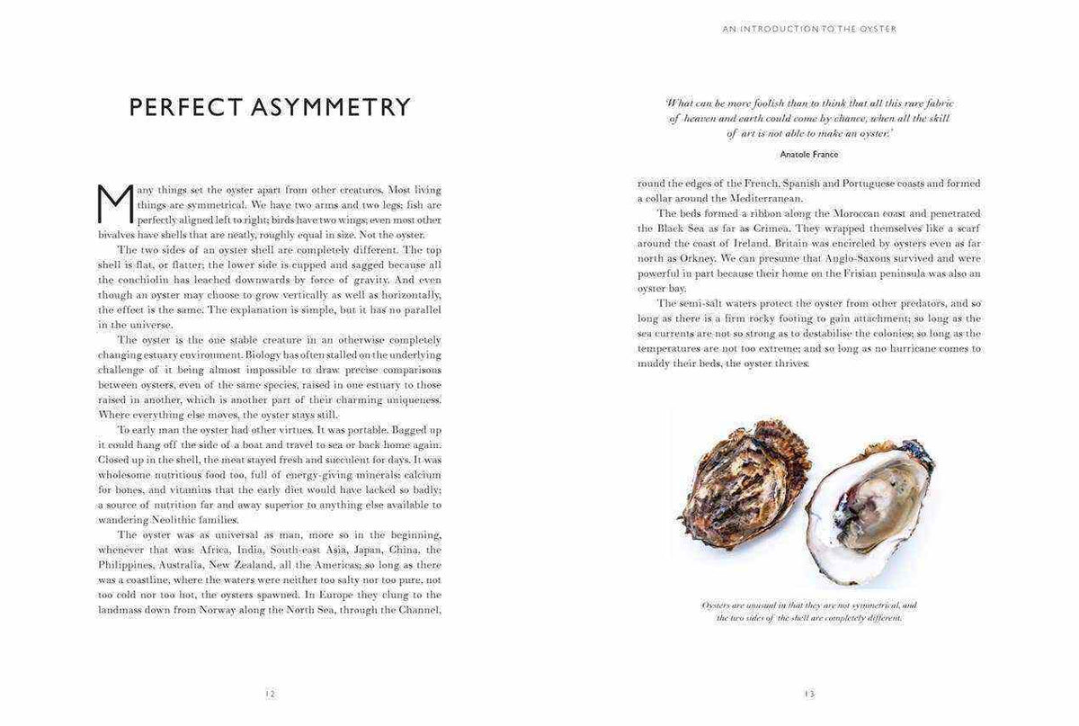 
                  
                    Oyster: A Gastronomic History - Curated Home Decor
                  
                