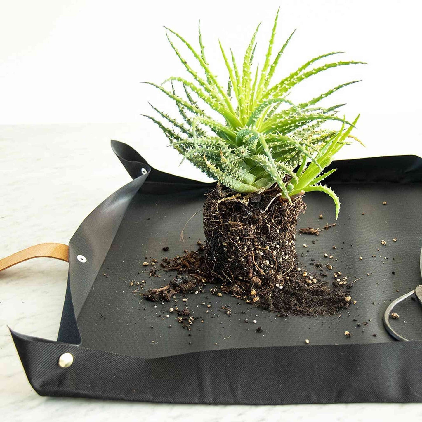 
                  
                    Potting tarp for urban gardening: Vegan black ribbon - Curated Home Decor
                  
                