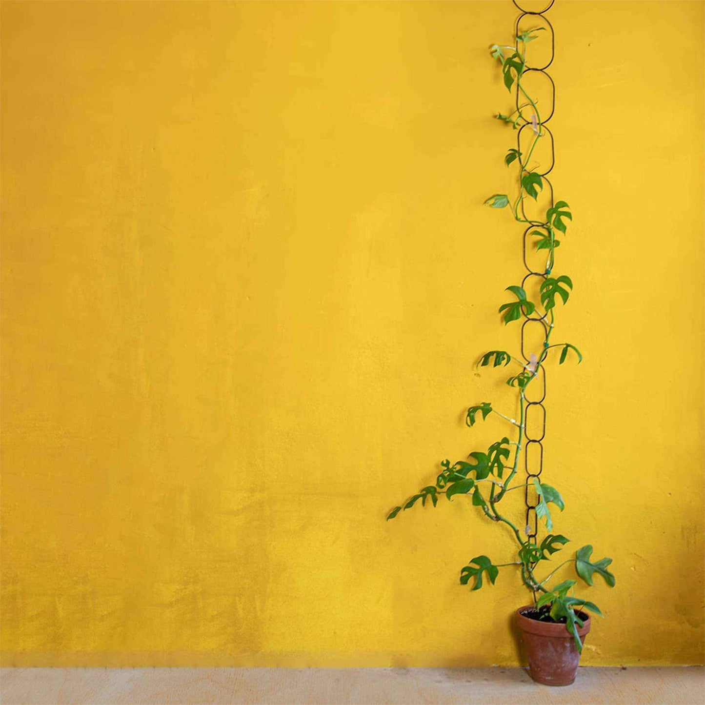 
                  
                    Black Brass Chain - Plant Support for climbing plants - Curated Home Decor
                  
                
