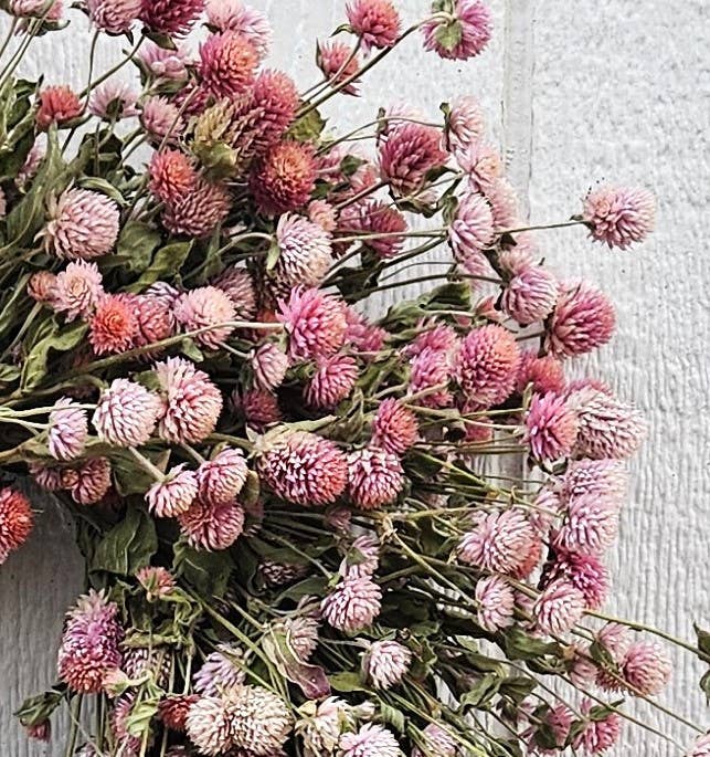 Dried Floral Wreath: Totally Gomphrena