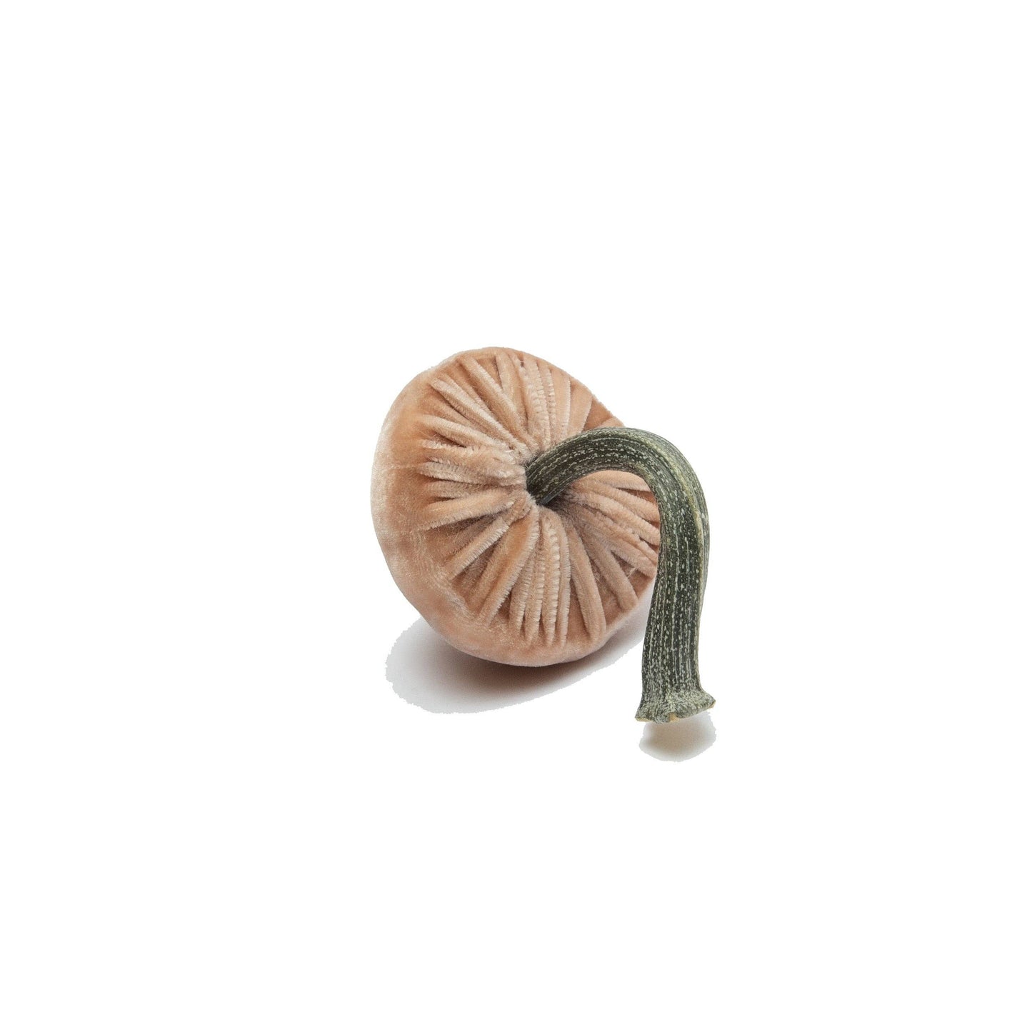 
                  
                    Mini Sandstone – 2"
                  
                