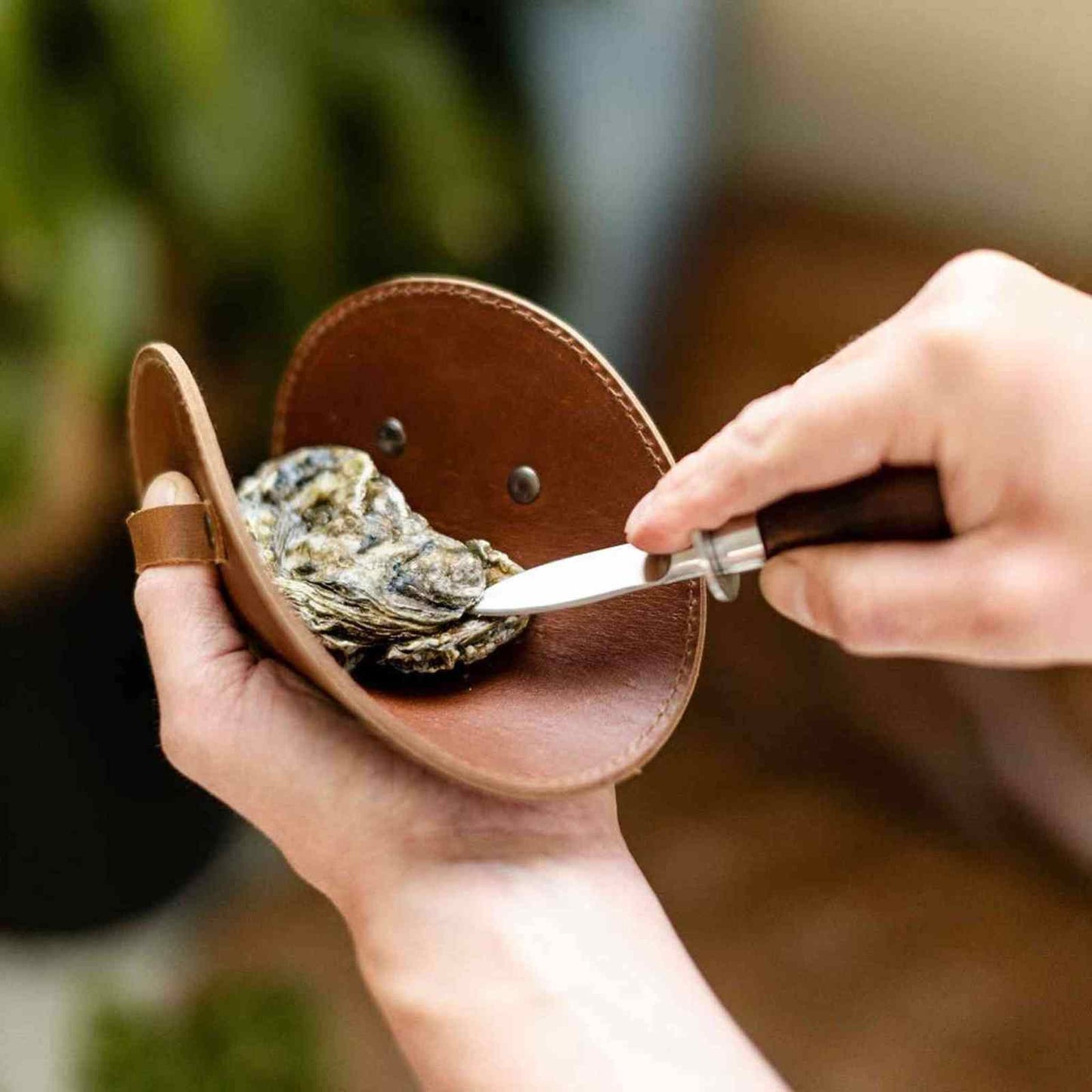 
                  
                    Oyster set with leather glove - Curated Home Decor
                  
                