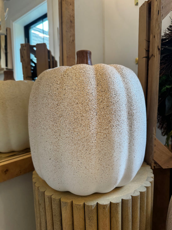 Large Concrete Plaster White Pumpkin Speckled - Curated Home Decor