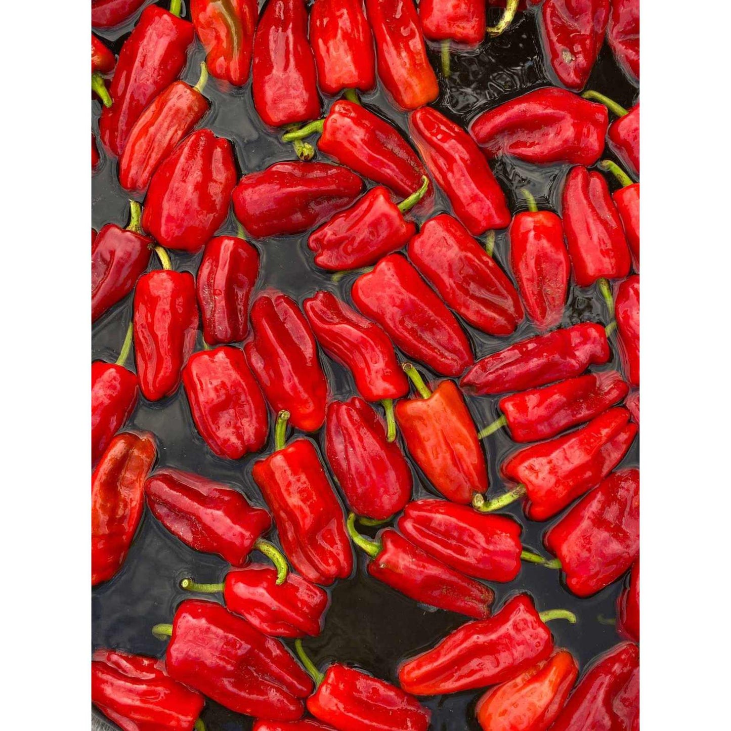 
                  
                    Aji Peach - 2025 International Flave Award Winner - Curated Home Decor
                  
                
