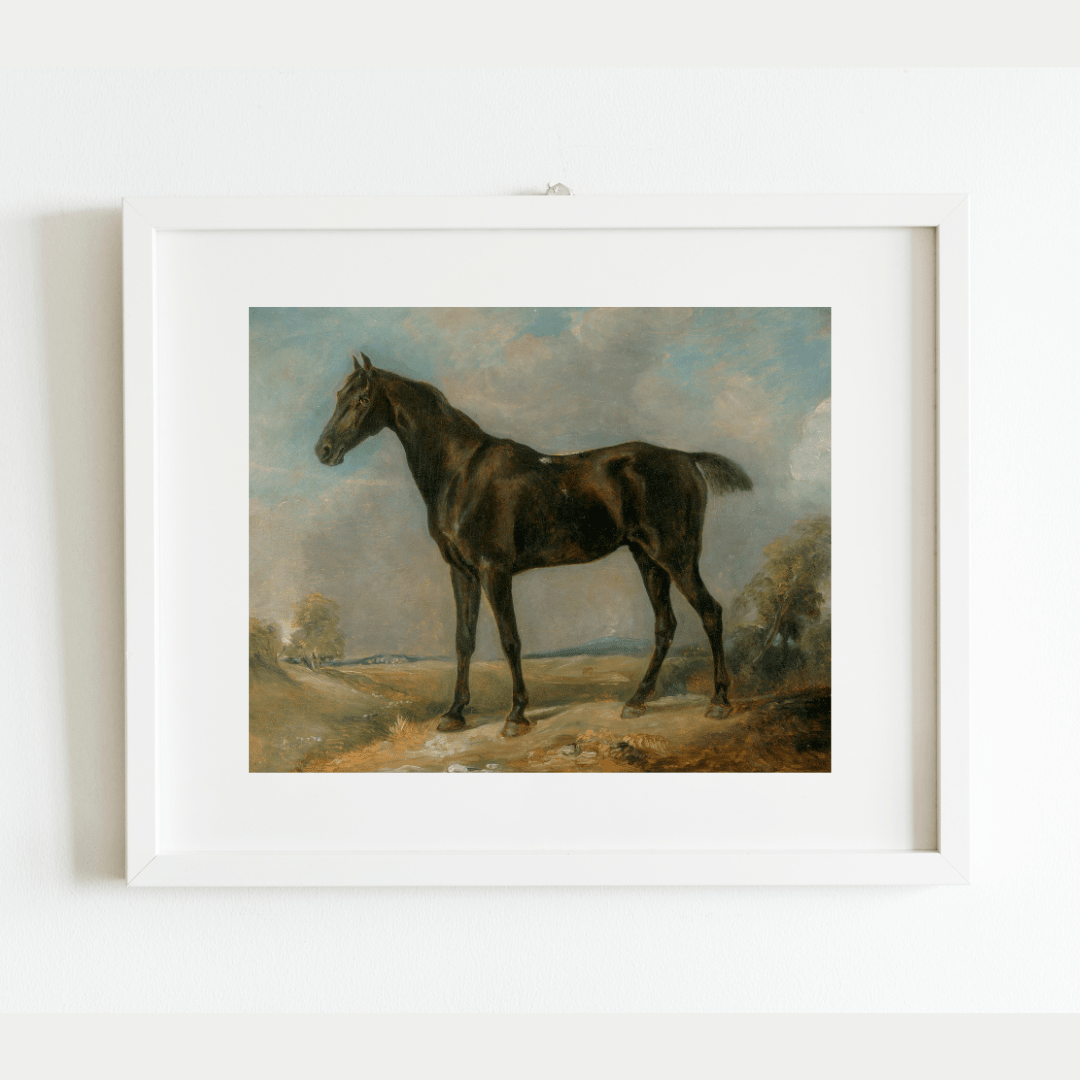 
                  
                    Black Riding Horse Antique Art Print - Curated Home Decor
                  
                