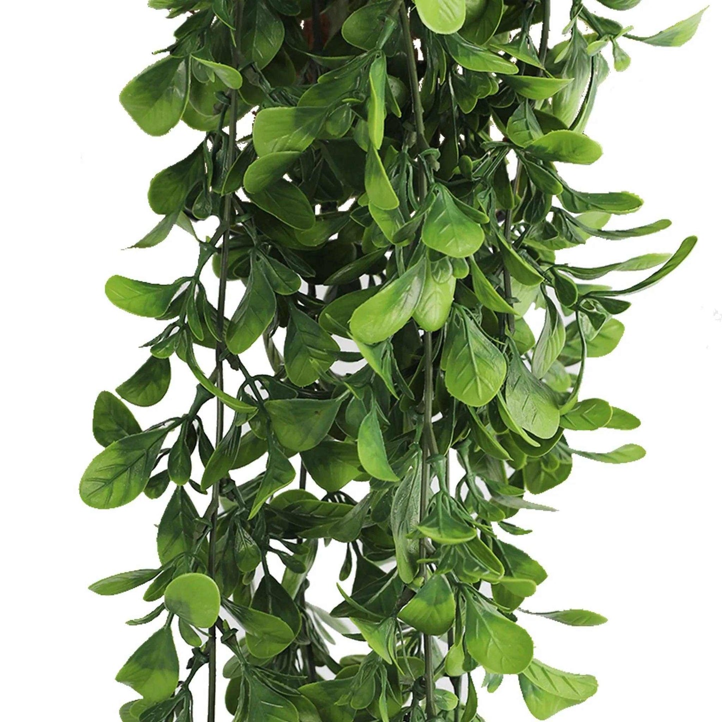 
                  
                    Artificial Creeping Fig Garland (UV Resistant + Fire Rated) - Curated Home Decor
                  
                