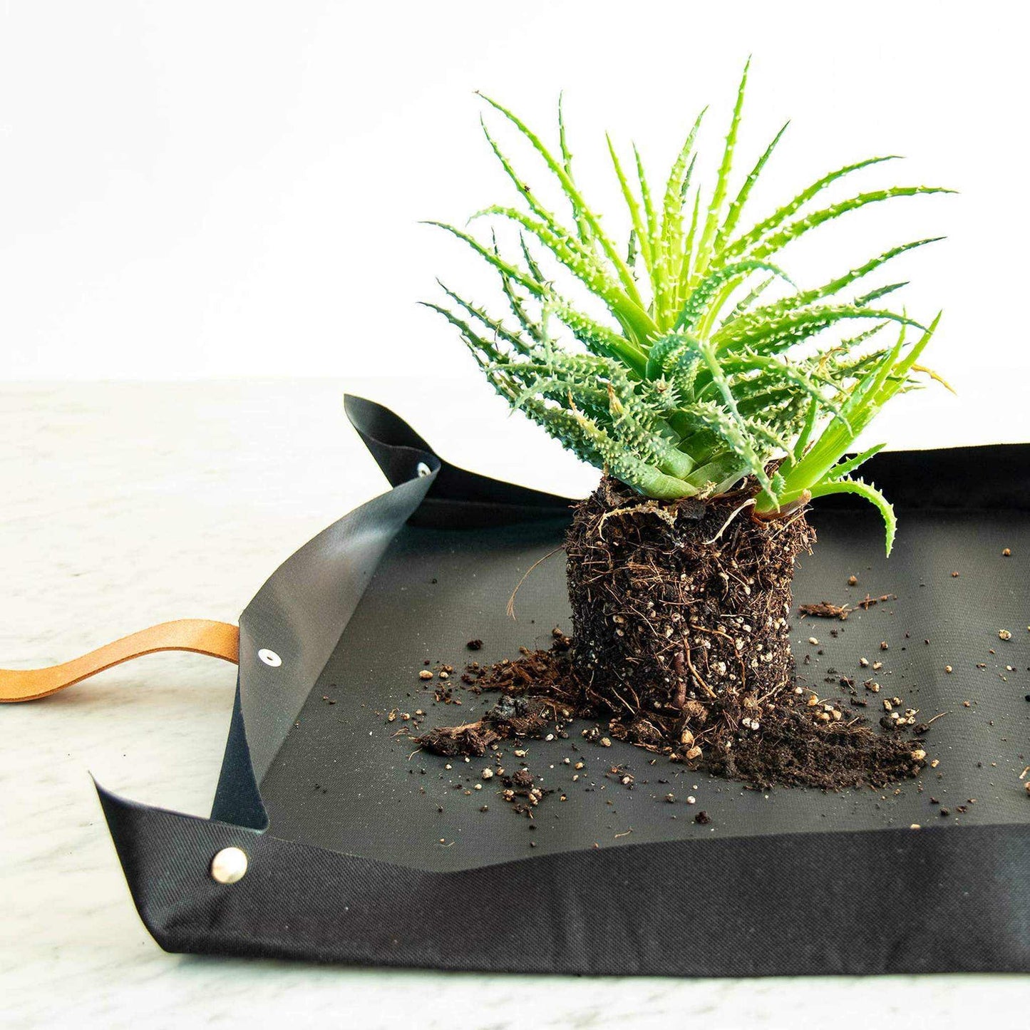
                  
                    Potting tarp for urban gardening: Vegan black ribbon - Curated Home Decor
                  
                