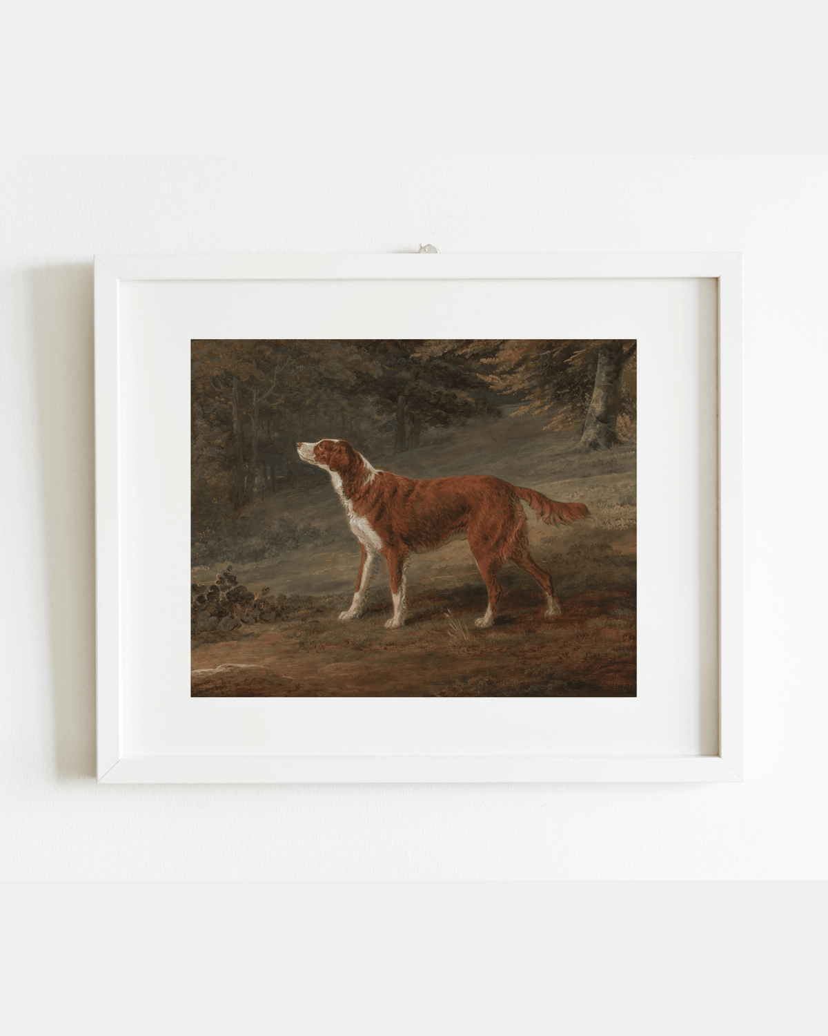 
                  
                    Ranger the Setter Hound Antique Art Print - Curated Home Decor
                  
                