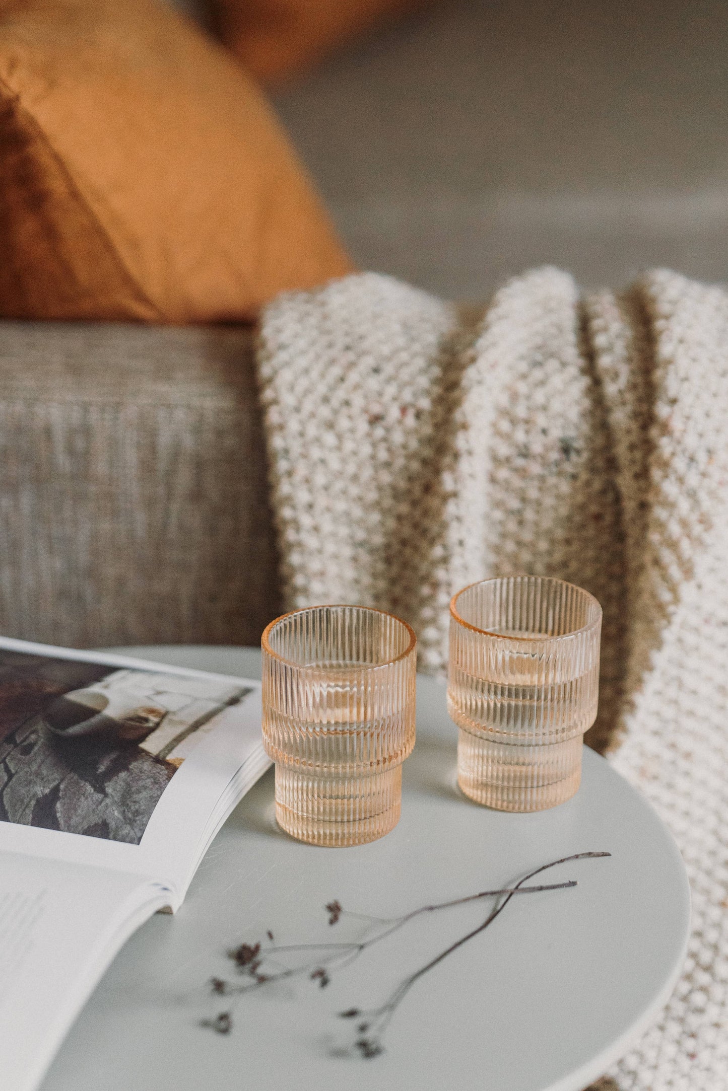 Set of 6 Short fluted glasses | tumblers