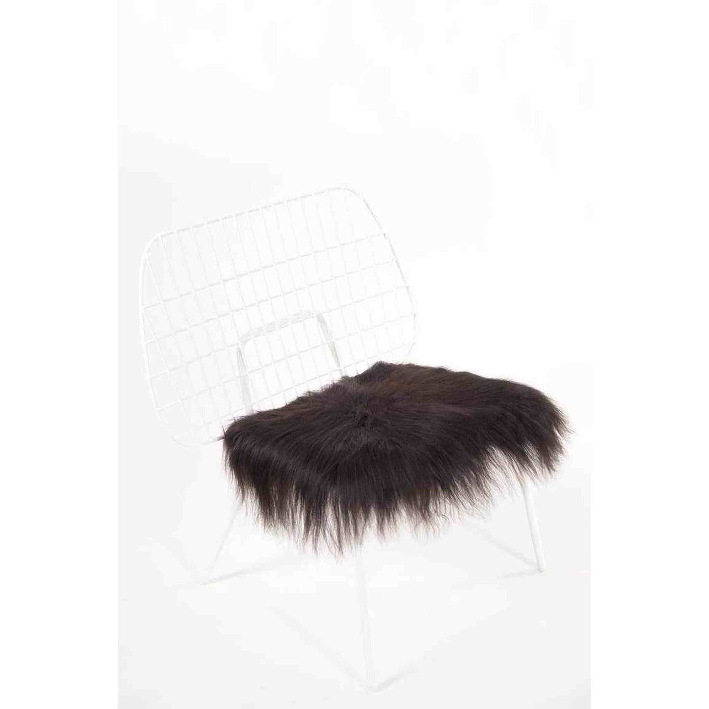 
                  
                    Black Icelandic Sheepskin Chair Pad - Curated Home Decor
                  
                