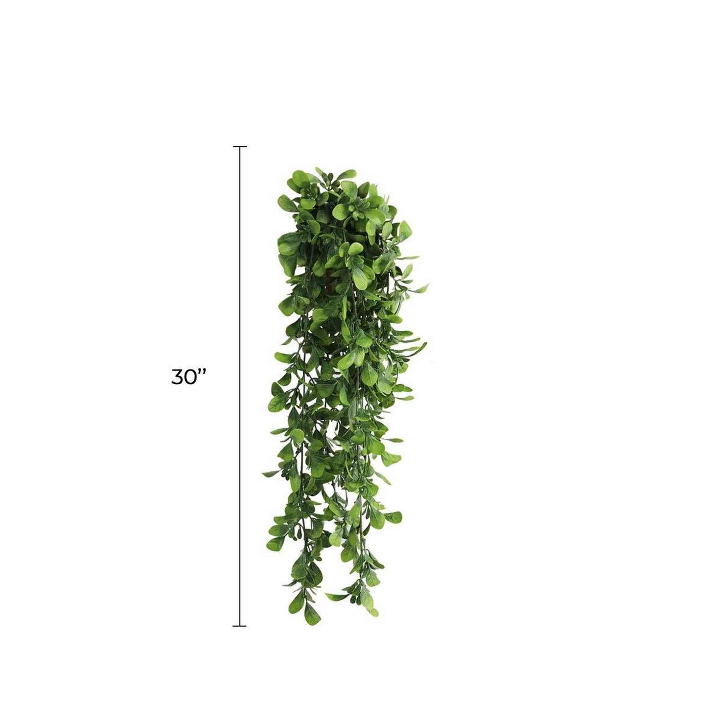 
                  
                    Artificial Creeping Fig Garland (UV Resistant + Fire Rated) - Curated Home Decor
                  
                