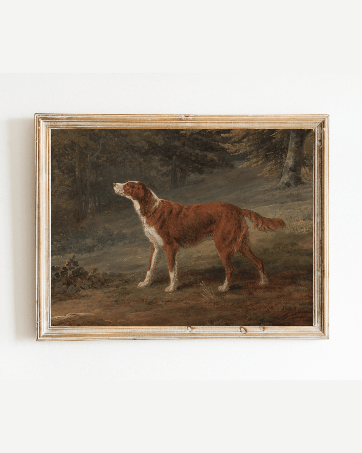 
                  
                    Ranger the Setter Hound Antique Art Print - Curated Home Decor
                  
                