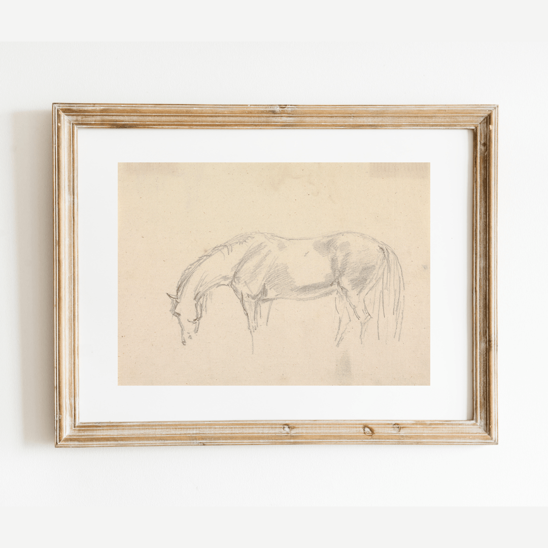 
                  
                    A Horse Grazing Sketch Antique Art Print: 5x7 - Curated Home Decor
                  
                