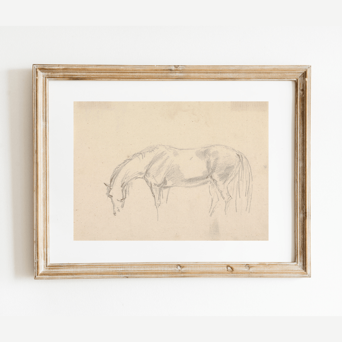 A Horse Grazing Sketch Antique Art Print: 5x7
