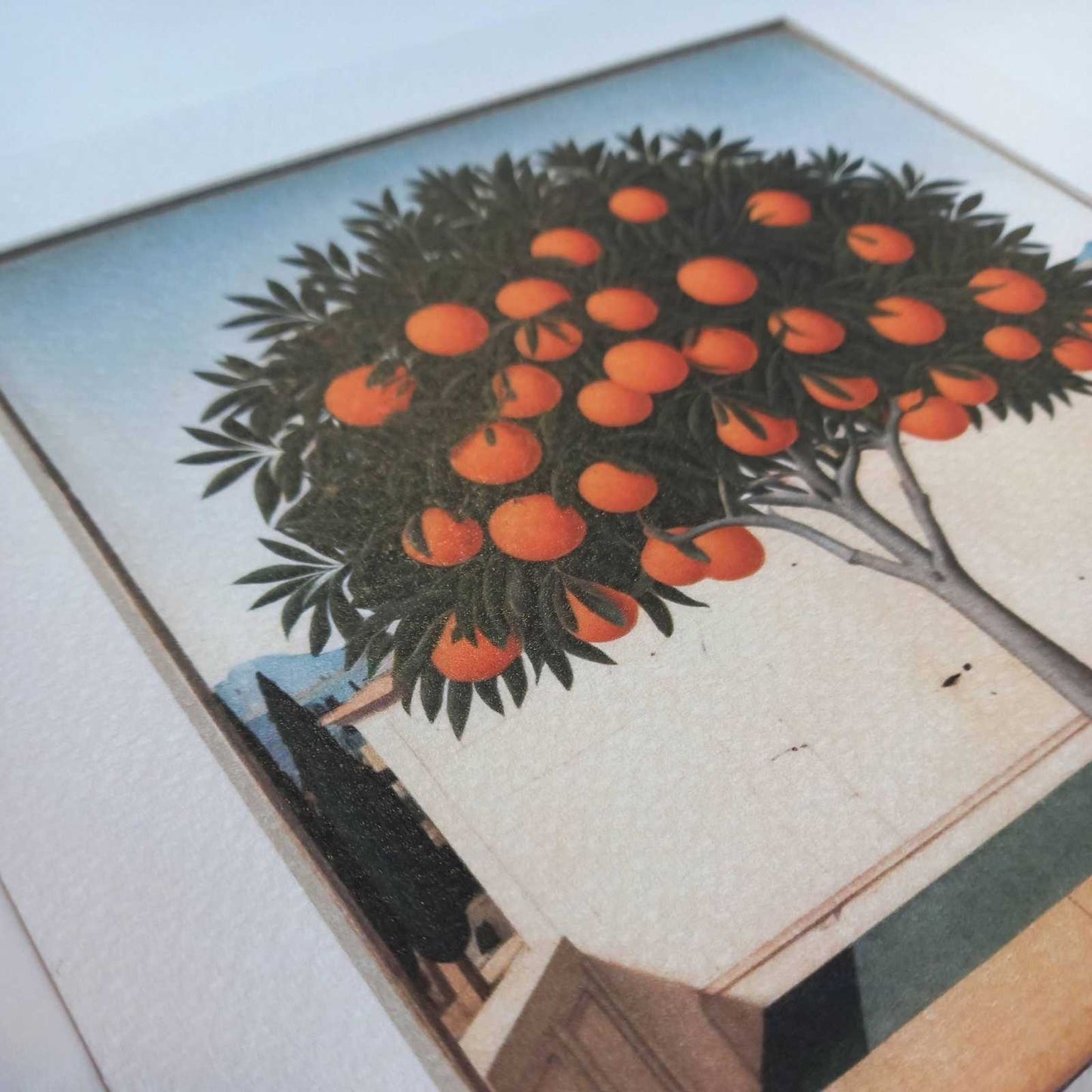 
                  
                    Frame + illustration pack "l'Oranger" - Curated Home Decor
                  
                