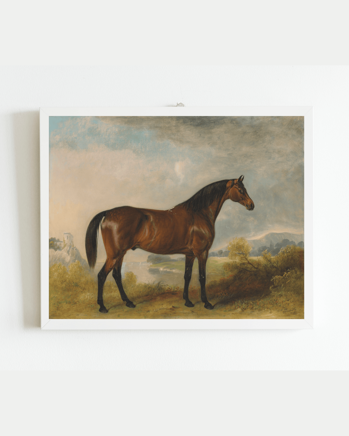 
                  
                    Bay Horse in a Field Antique Art Print: 5x7 - Curated Home Decor
                  
                