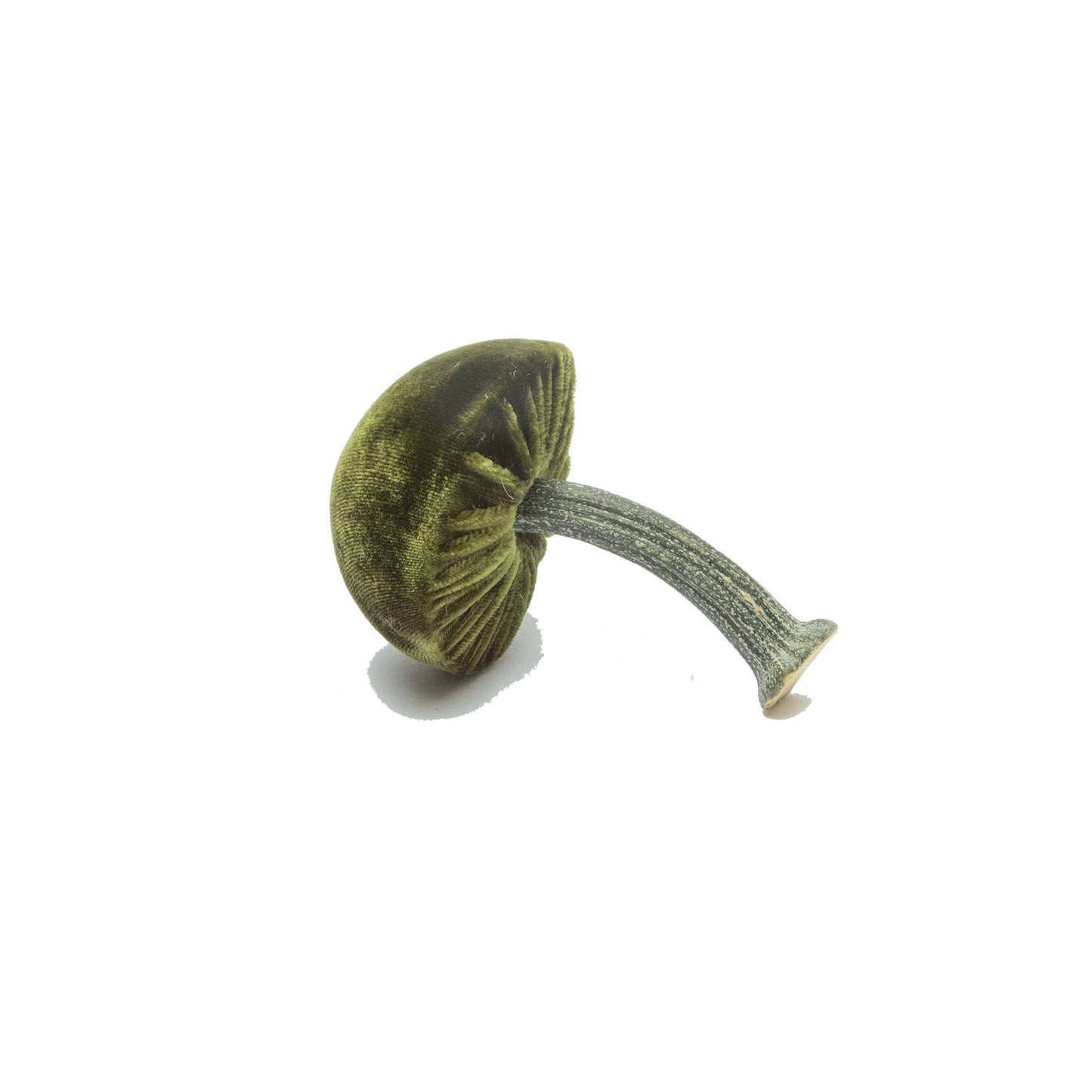 
                  
                    Mini Moss – 2"
                  
                