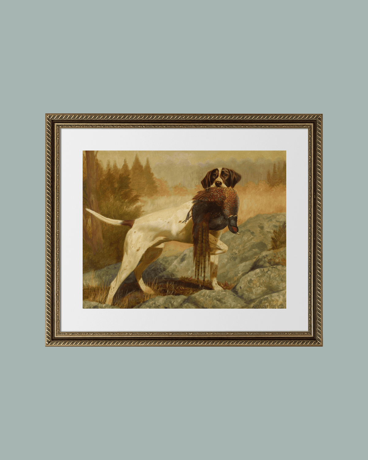 
                  
                    Pointer with Pheasant Antique Art Print - Curated Home Decor
                  
                
