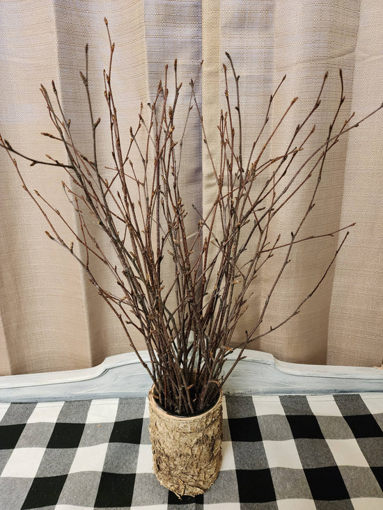 18-24" Natural Birch Branch Bundle
