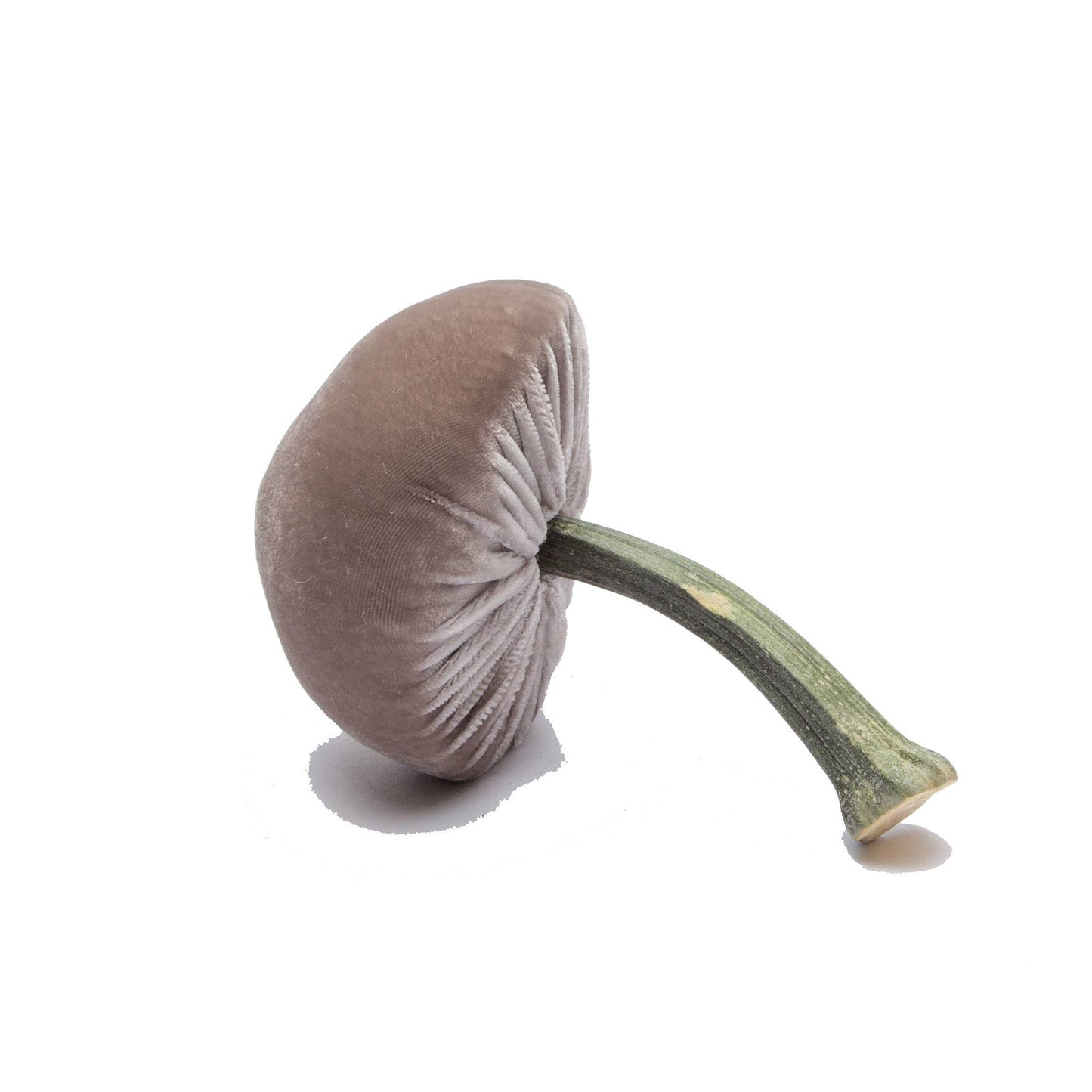 
                  
                    Small Putty – 3"
                  
                