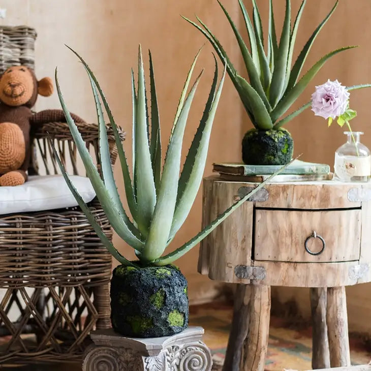 Faux Aloe Vera on Moss - Curated Home Decor