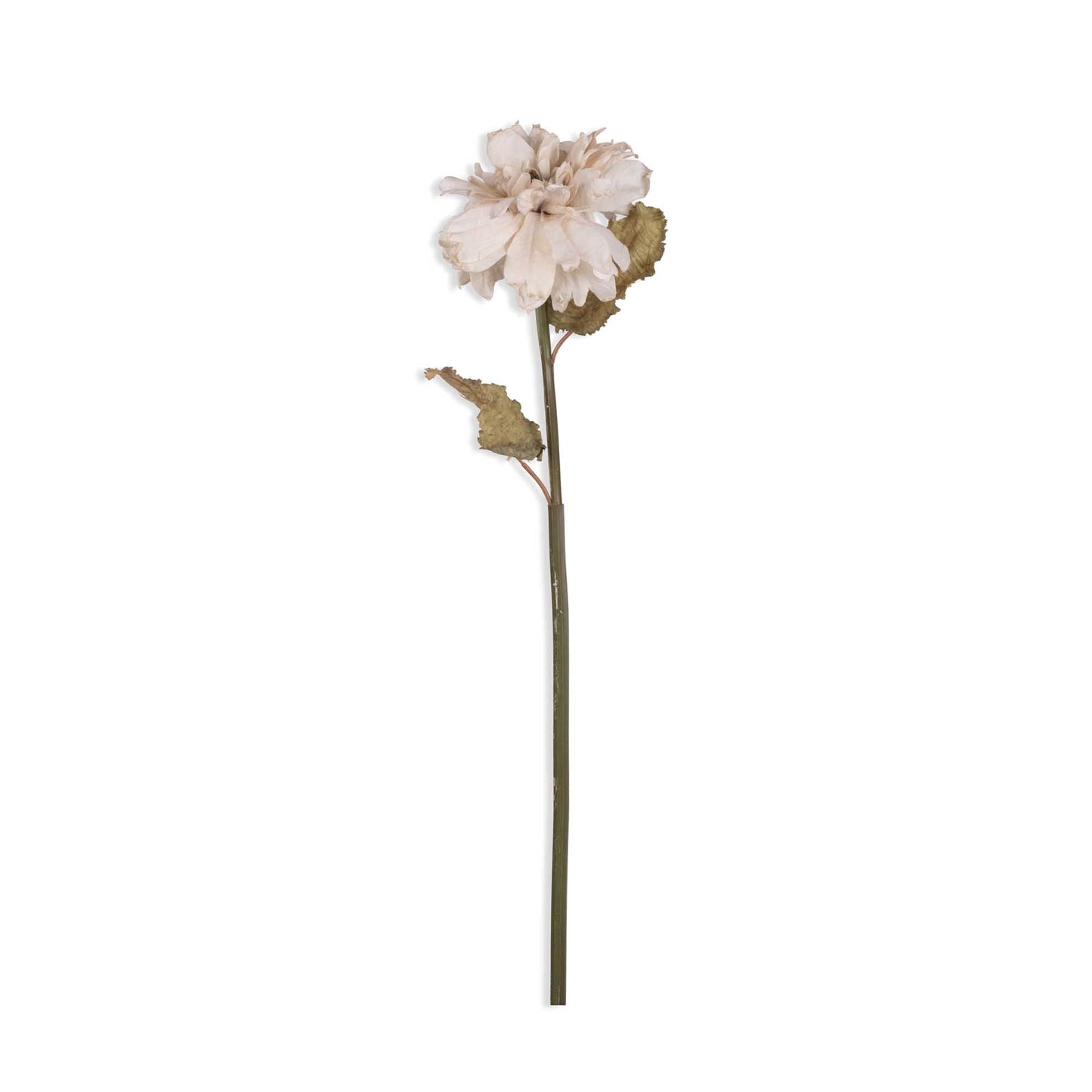 
                  
                    Abigail Ahern Real Touch Dahlia cream single stem
                  
                