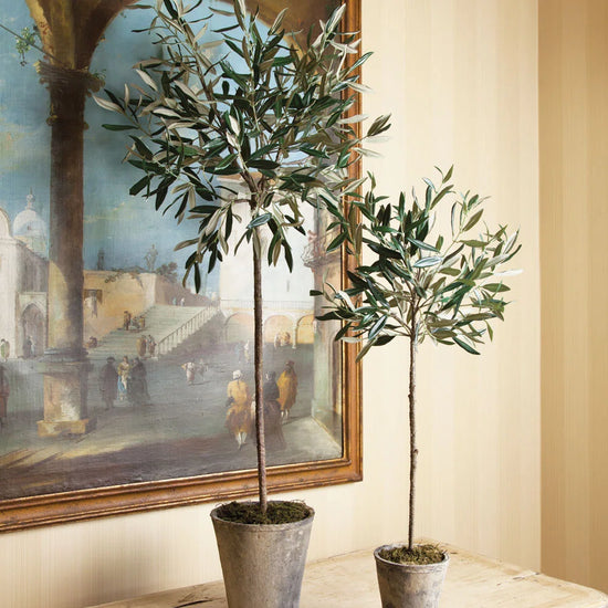 Load image into Gallery viewer, Conservatory Faux Olive Tree Tree in Ceramic Planter 30&amp;quot;
