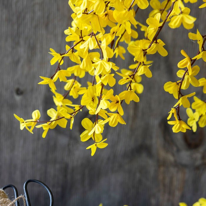 Detail of the amber yellow fabric petals on an Abigail Ahern artificial forsythia stem