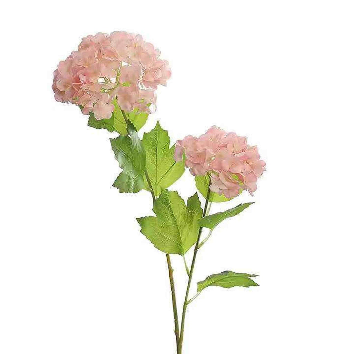 
                  
                    Real Touch Hydrangea - Curated Home Decor
                  
                