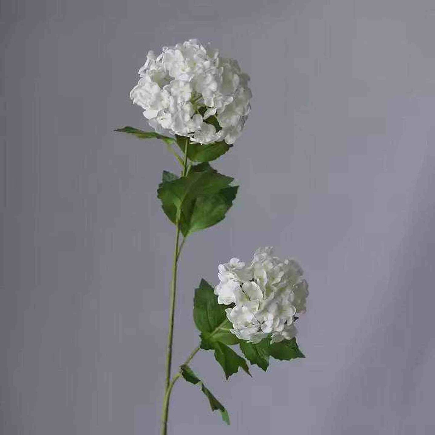 
                  
                    Real Touch Hydrangea - Curated Home Decor
                  
                