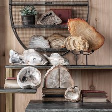 
                  
                    Petrified wood bowl - Curated Home Decor
                  
                