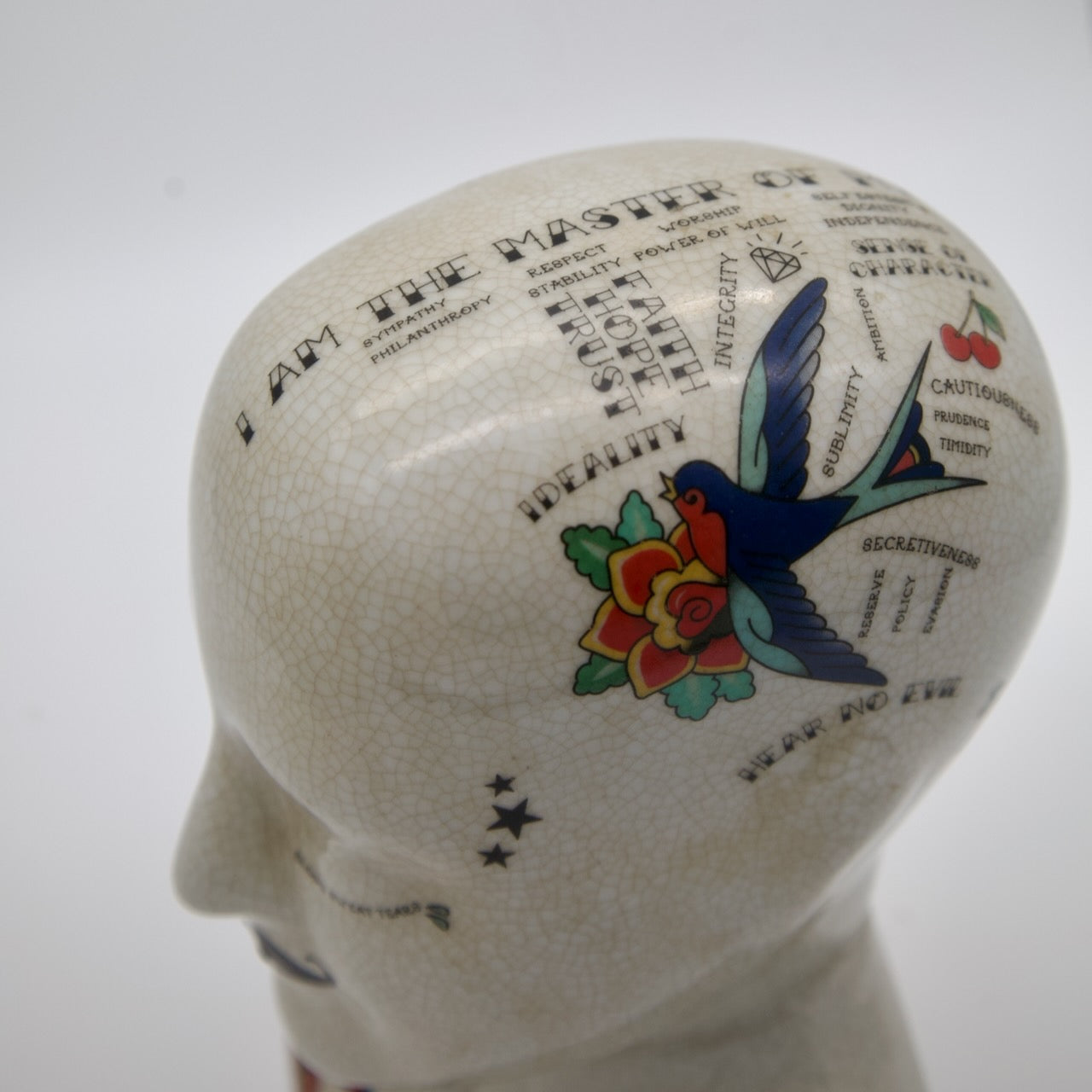 Vintage Phrenology Bust – Porcelain with Tattoo-Inspired Design