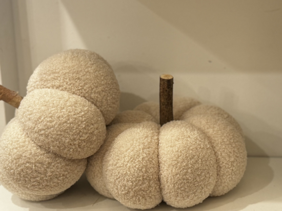 Cozy Pumpkin With Birch Stem, Cream - Curated Home Decor