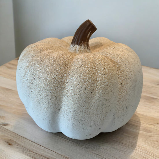 Medium Concrete Plaster White Pumpkin Speckled - Curated Home Decor