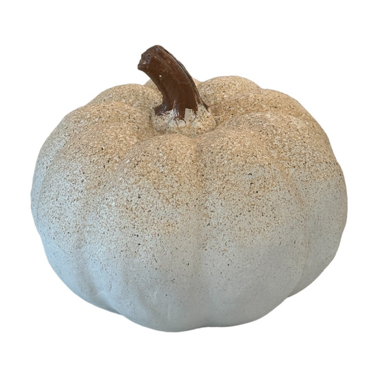 Small Concrete Plaster White Pumpkin Speckled - Curated Home Decor