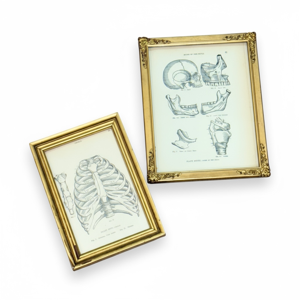 Curated Home Decor
