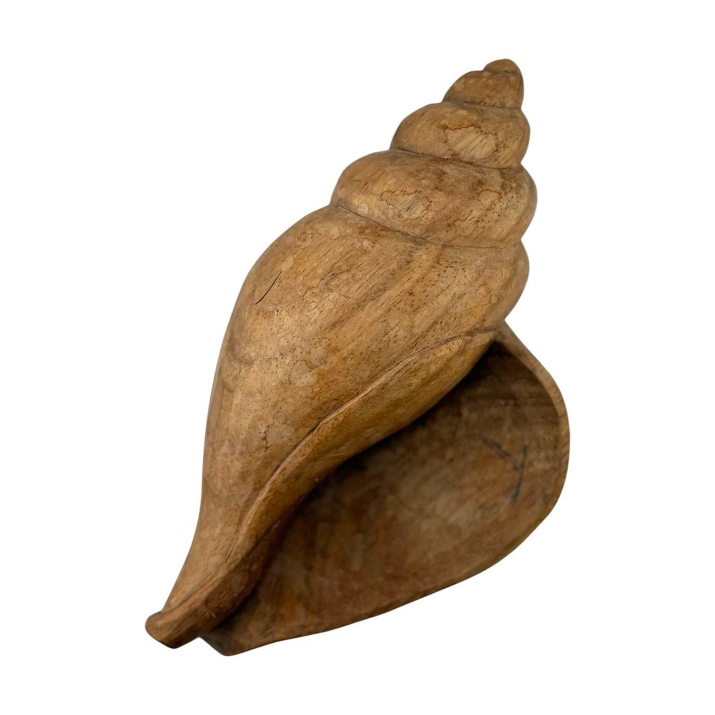 
                  
                    Wooden Shell Decor - Curated Home Decor
                  
                