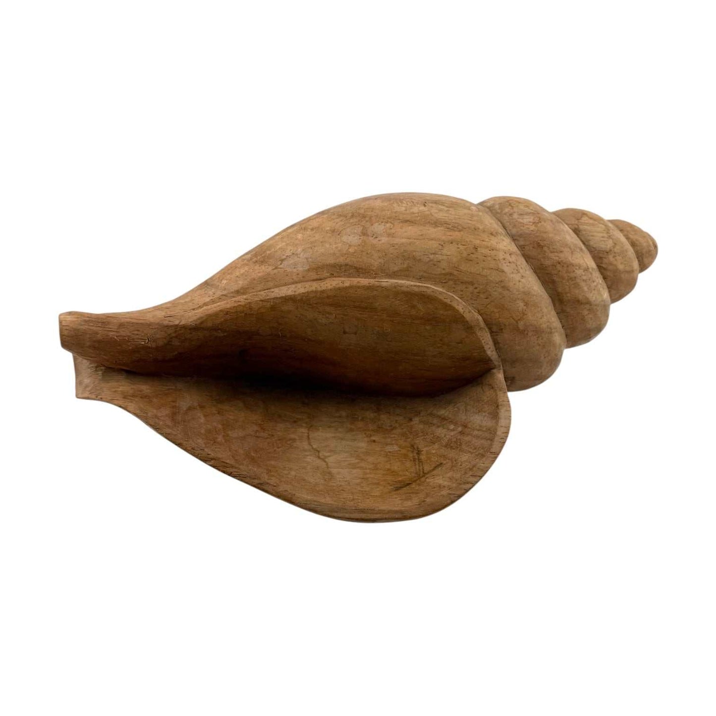 
                  
                    Wooden Shell Decor - Curated Home Decor
                  
                