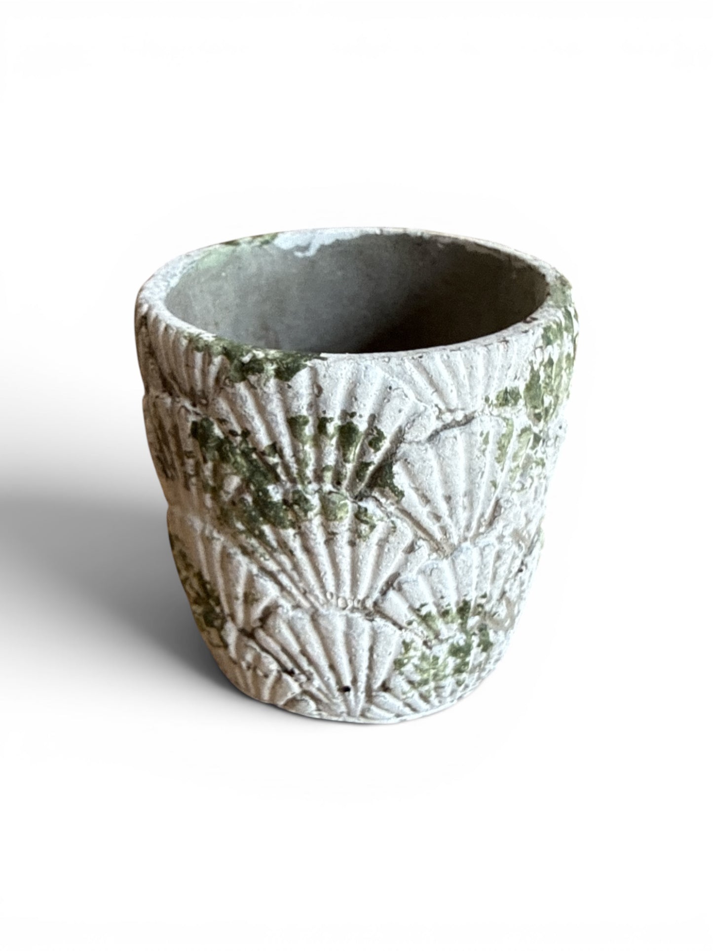 
                  
                    Distressed Shell Planter - Curated Home Decor
                  
                