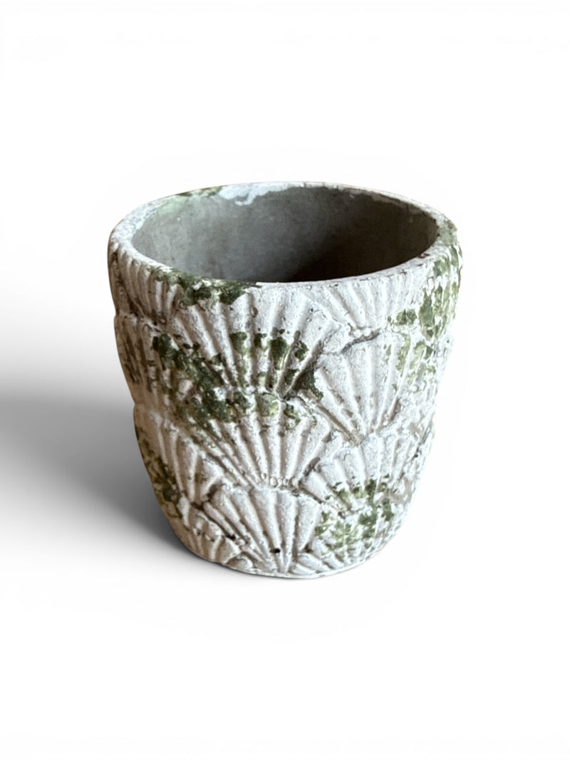 Distressed Shell Planter