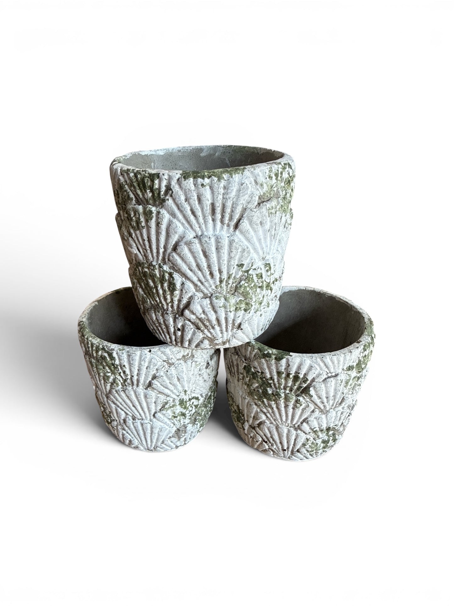 
                  
                    Distressed Shell Planter - Curated Home Decor
                  
                