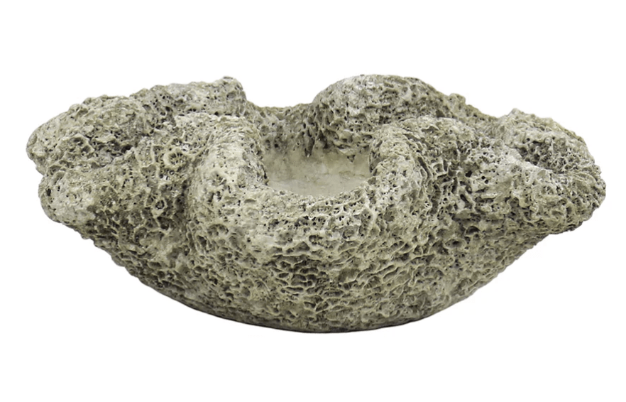 Cast Concrete Coral Planter - Curated Home Decor