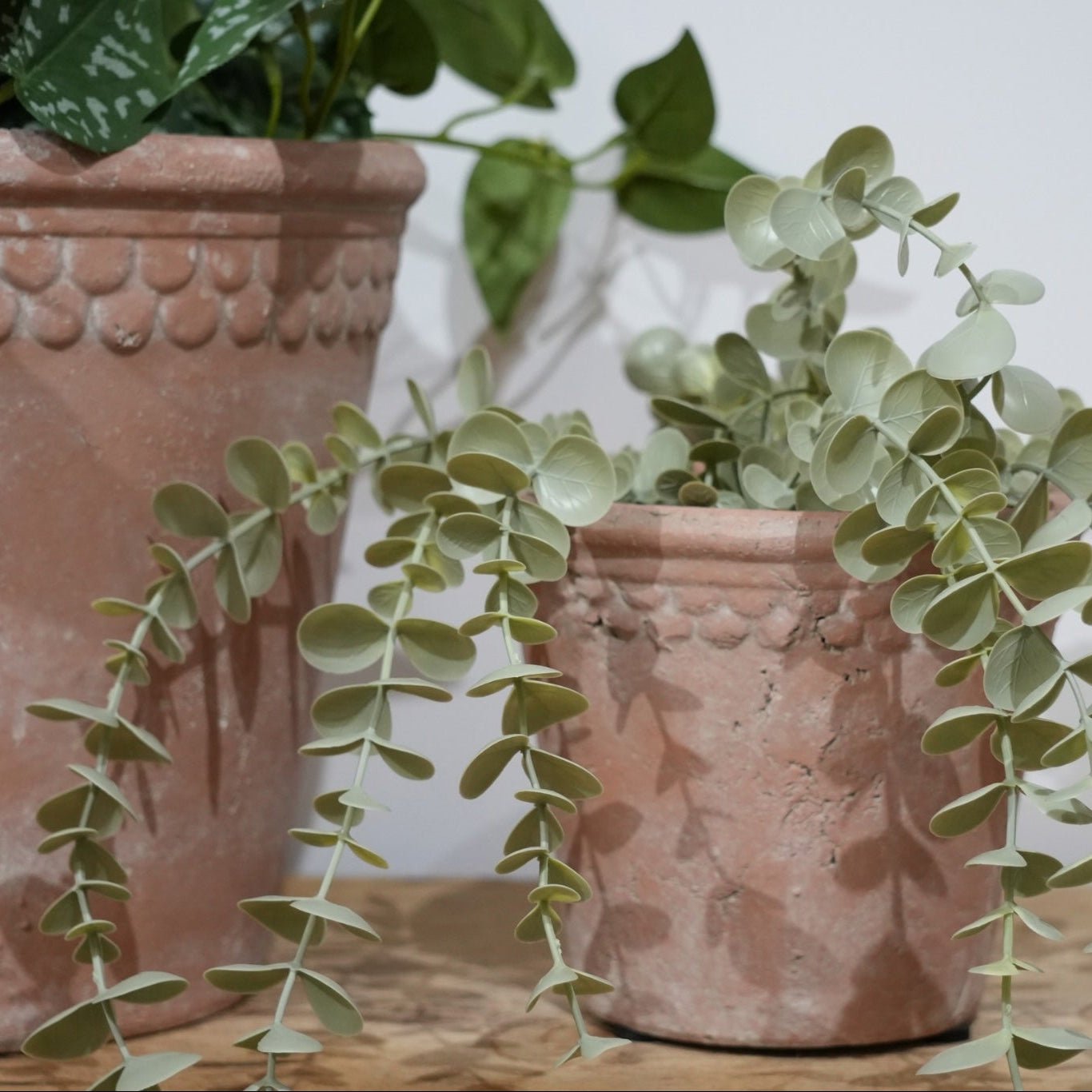 French Terracotta Planter with Scalloped Rim - Curated Home Decor