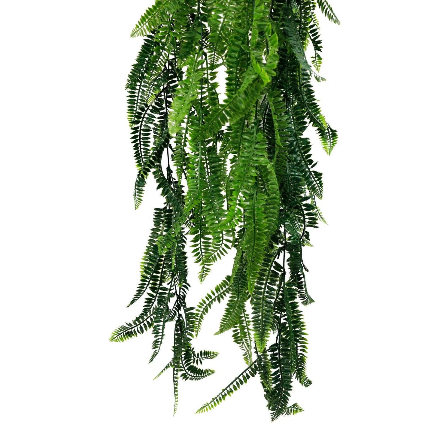 
                  
                    Real Touch Artificial Hanging Fern Basket with UV Resistance - Curated Home Decor
                  
                