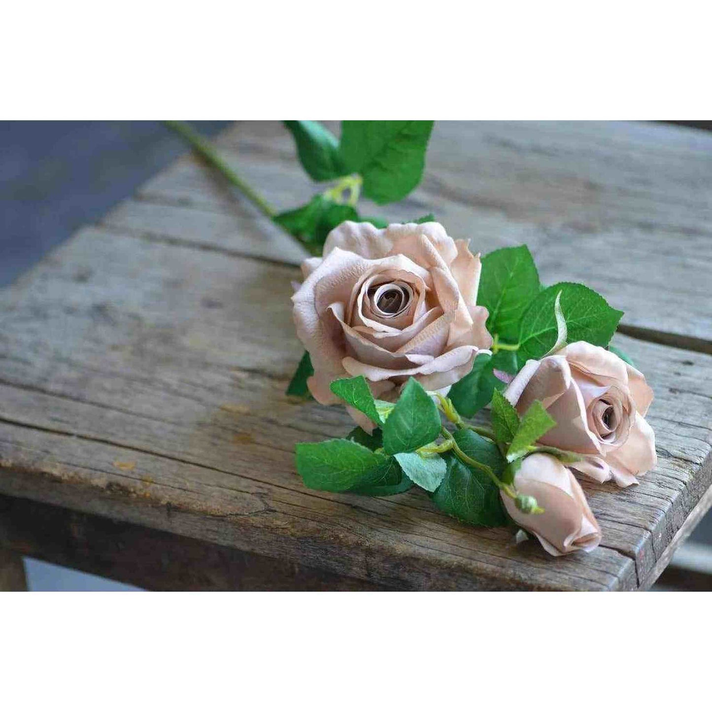 
                  
                    Antique Blush 27" Real Touch Rose Stem - Curated Home Decor
                  
                